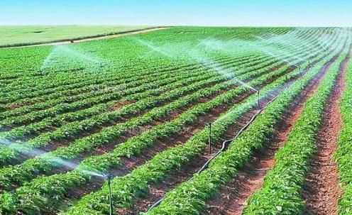 美女插逼逼114农田高 效节水灌溉